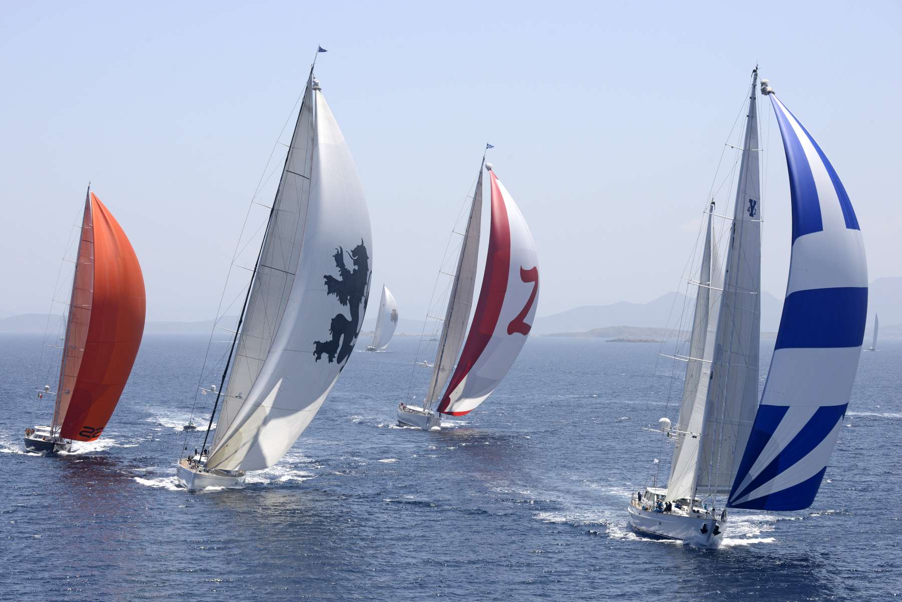 sailboat race