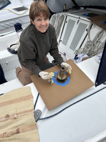 Cleaning-the-housing-stem-while-protecting-the-deck-cwise-5