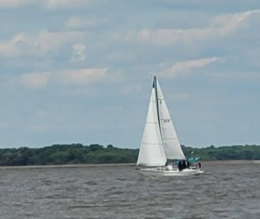 HF-2