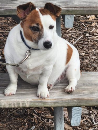 lros-skipper-from-legasea