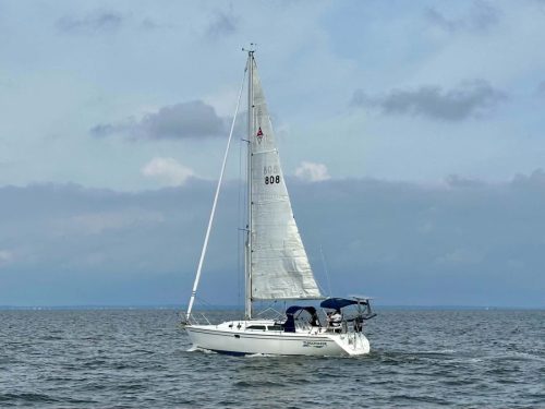 mswl-26-23