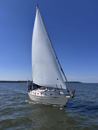 Trance